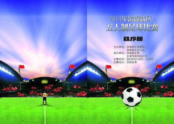 支持热刺 支持热刺