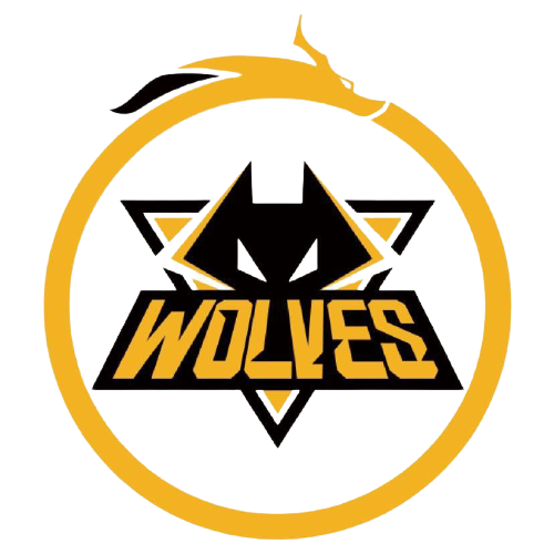 和迅捷的反 和迅捷的反