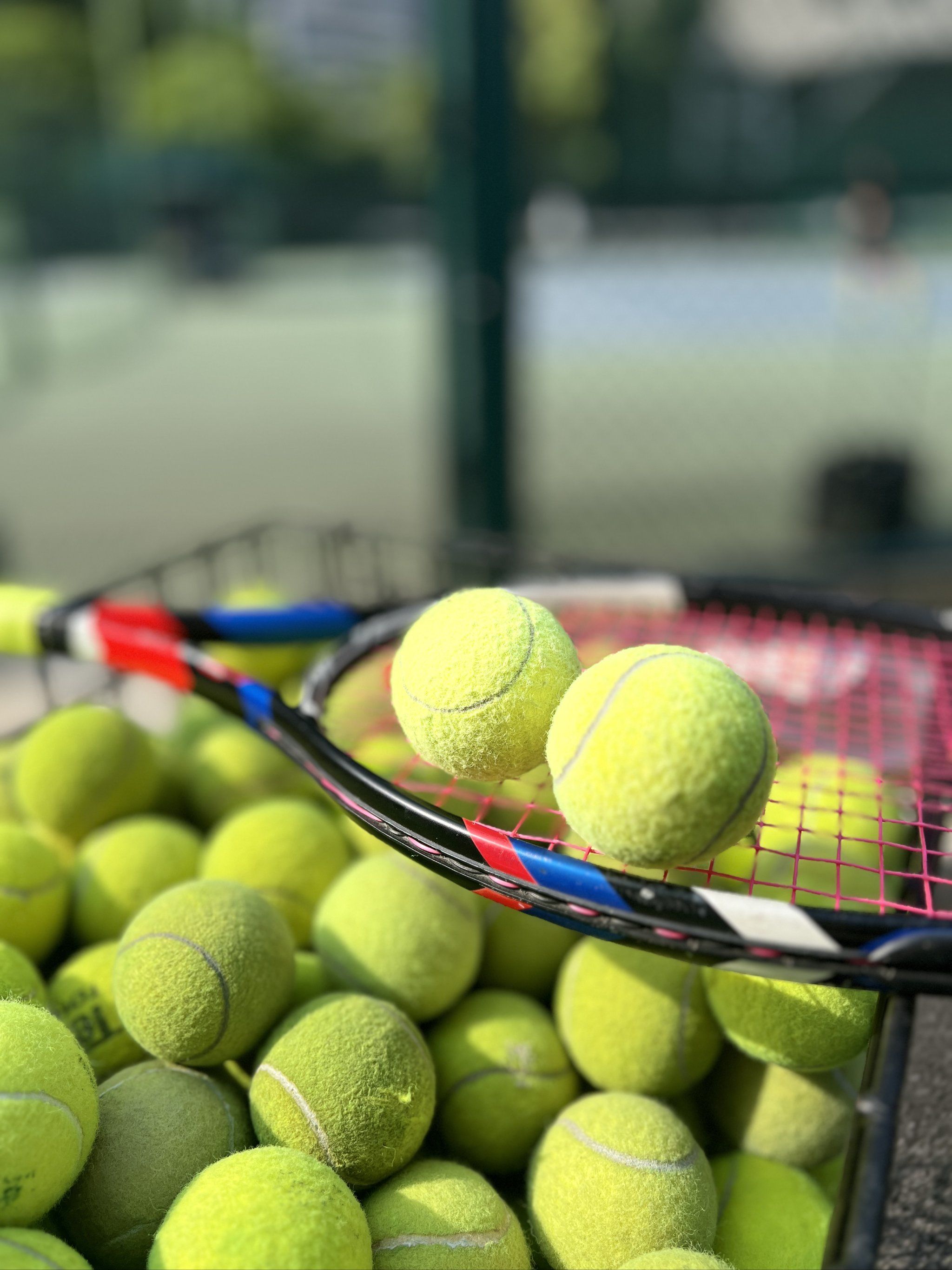 其治疗需要 其治疗需要